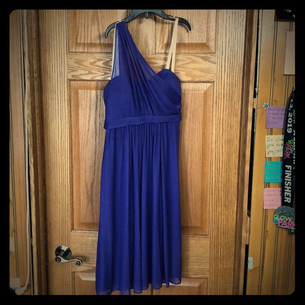 David’s bridle purple dress